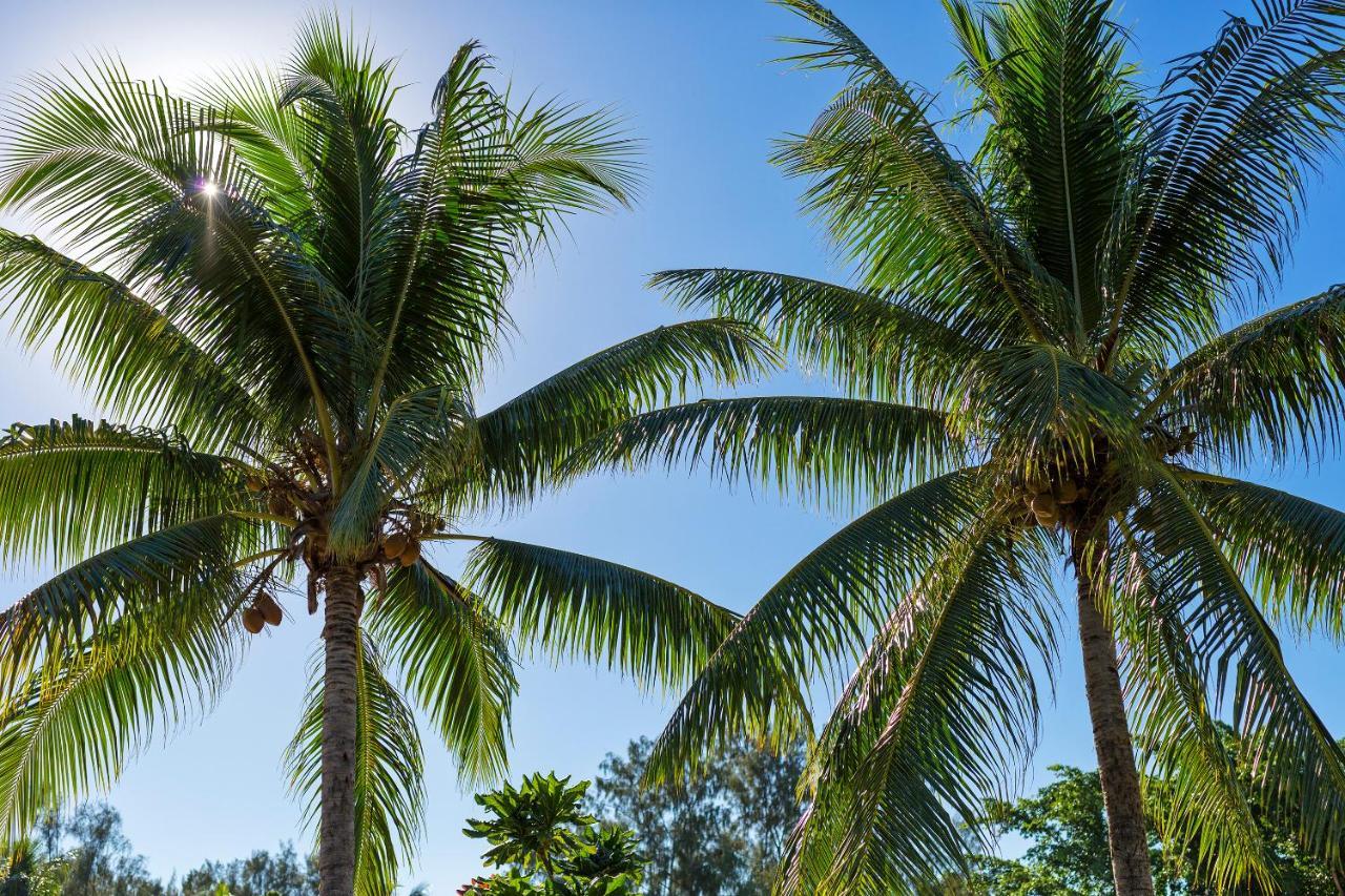 Warwick Le Lagon Resort&Spa, Vanuatu Port Vila Exterior foto